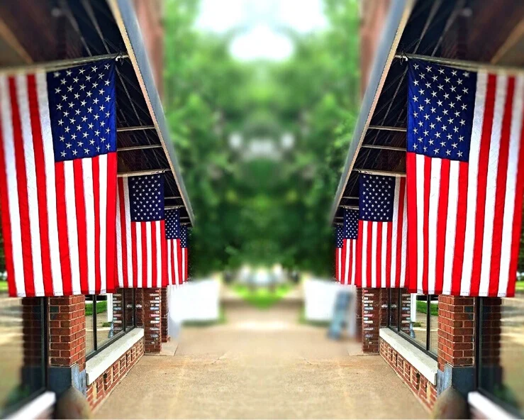 Wholesaler Stock 3x5ft 210D Nylon Embroidered Star White Line Straps American USA  Flag