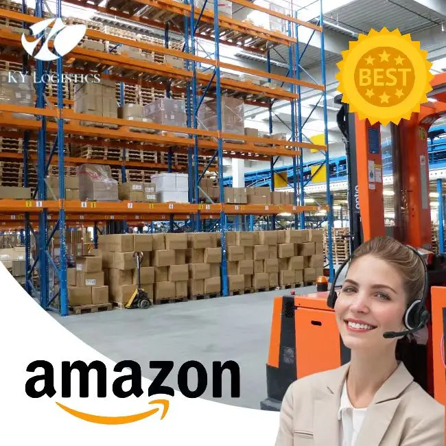 FR dropshipping agent FBA dongguan cheap LCL EMS UPS Provider 3pl  Delivery Courier logistics escort service