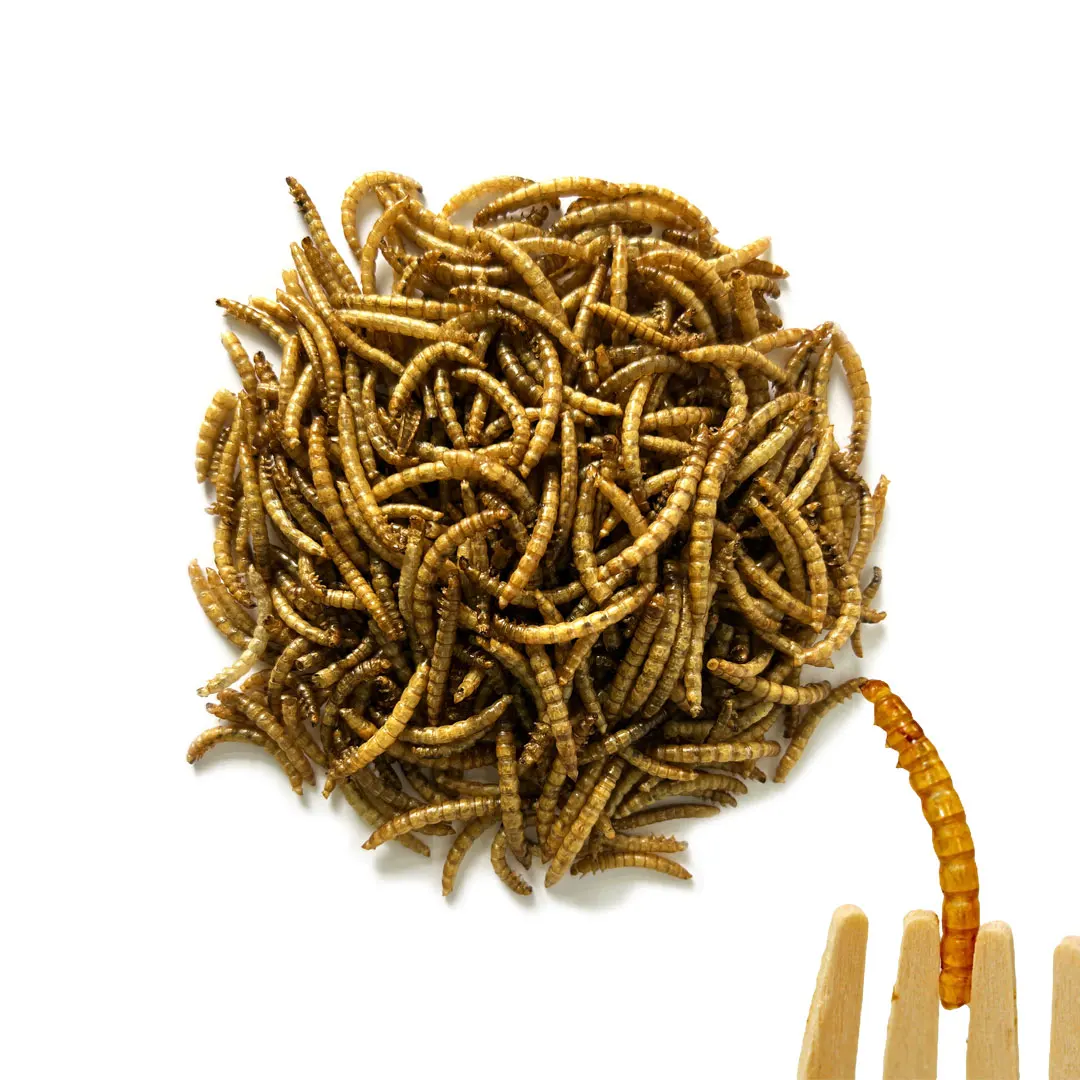 Cheap Soybean/soy Bean/soya Mealworm (bsf) Meal With High Protein