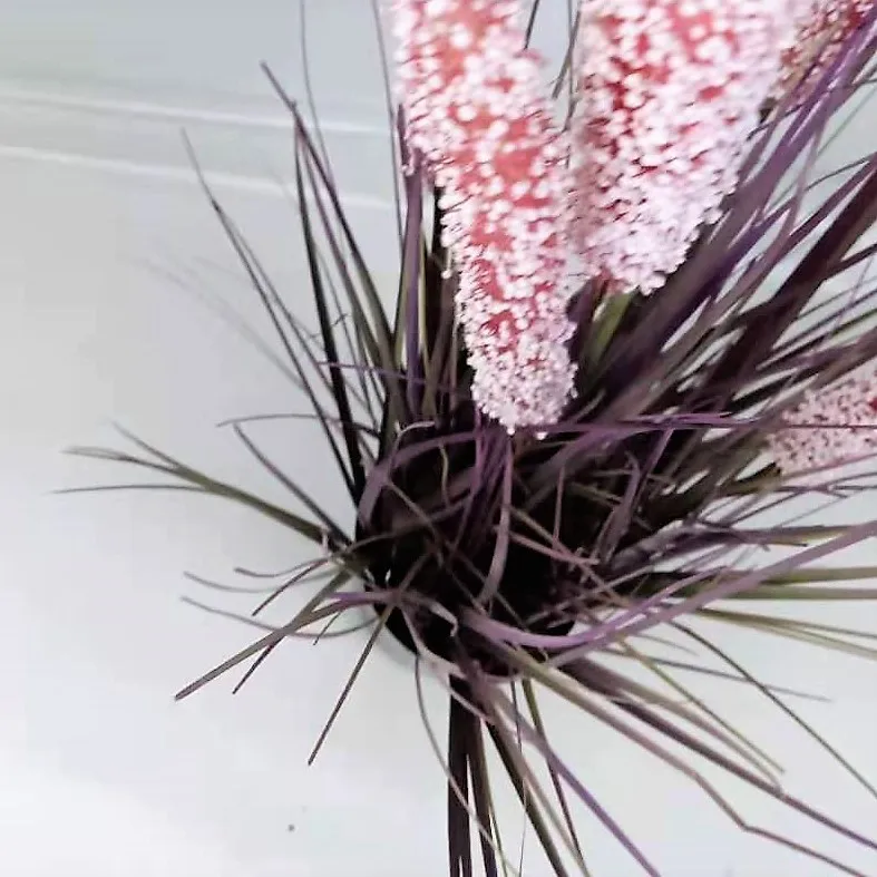 Large Tall Dried Artificial Potted Plant Reed Purple Planta De Maceta Artificial Pampas Onion Grass Bonsai For Decoration