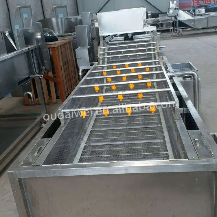 Automatic Industrial Bubble Coriander Squid Fruit Coconut Roller Large Scale Clean Wash Machine For Brush