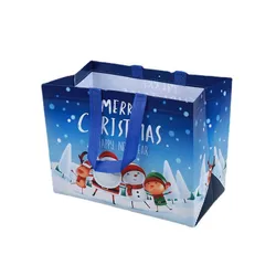 Promotional Customized Design Printed Ecobag Friendly Reusable Foldable Tote Ziplock Pp Non Woven Shopping Bag With Zipper Pouch