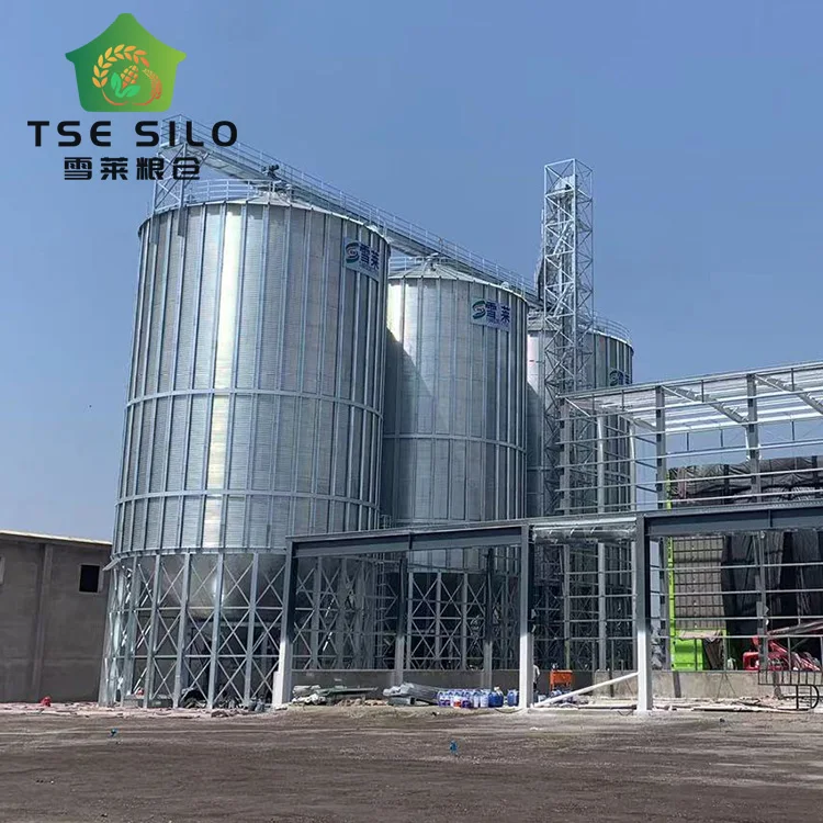 New Design Silo for Feed Mill TCZK 200T 500T 600T 700T Steel Hopper Bottom Soya Silos