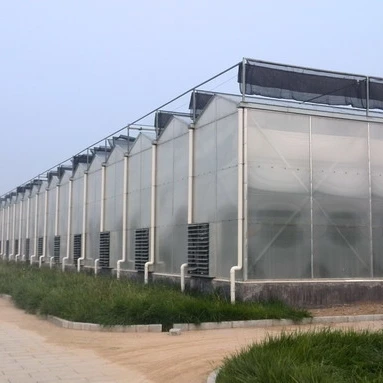 High quality polycarbonate transparent roof