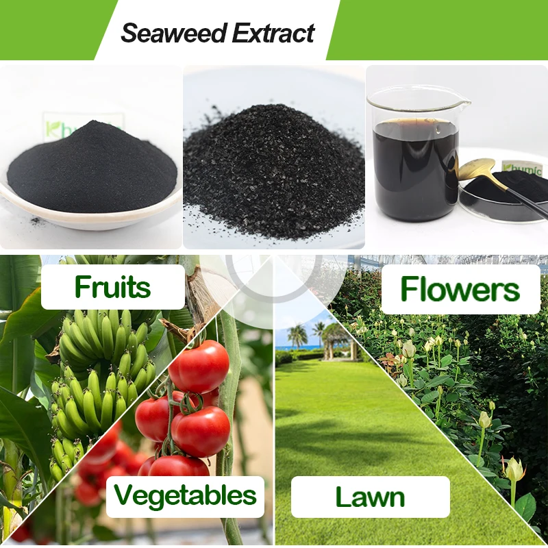 Khumic-Alga 800 Seaweed extract Natural organic biostimulant kelp extract fertilizer