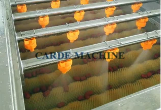 Continuously parallel brush roller fruit root vegetable cleaner washing machine for potato radish carrot lotus