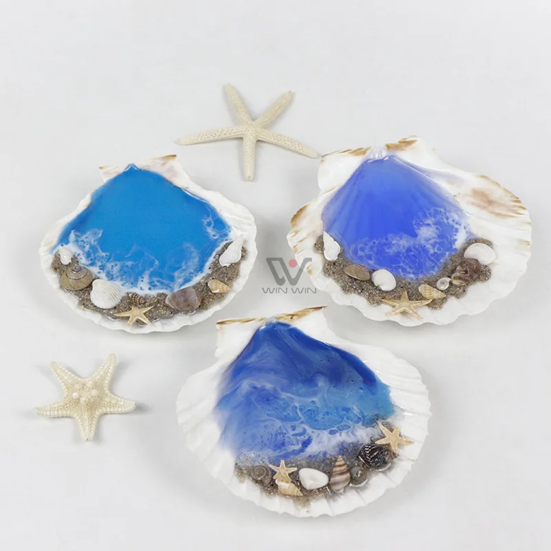 Sea Shells Mixed Beach Seashells Various Sizes Resin Epoxy Sea Wave Scenery Natural Seashells For Beach Themed Party Decor
