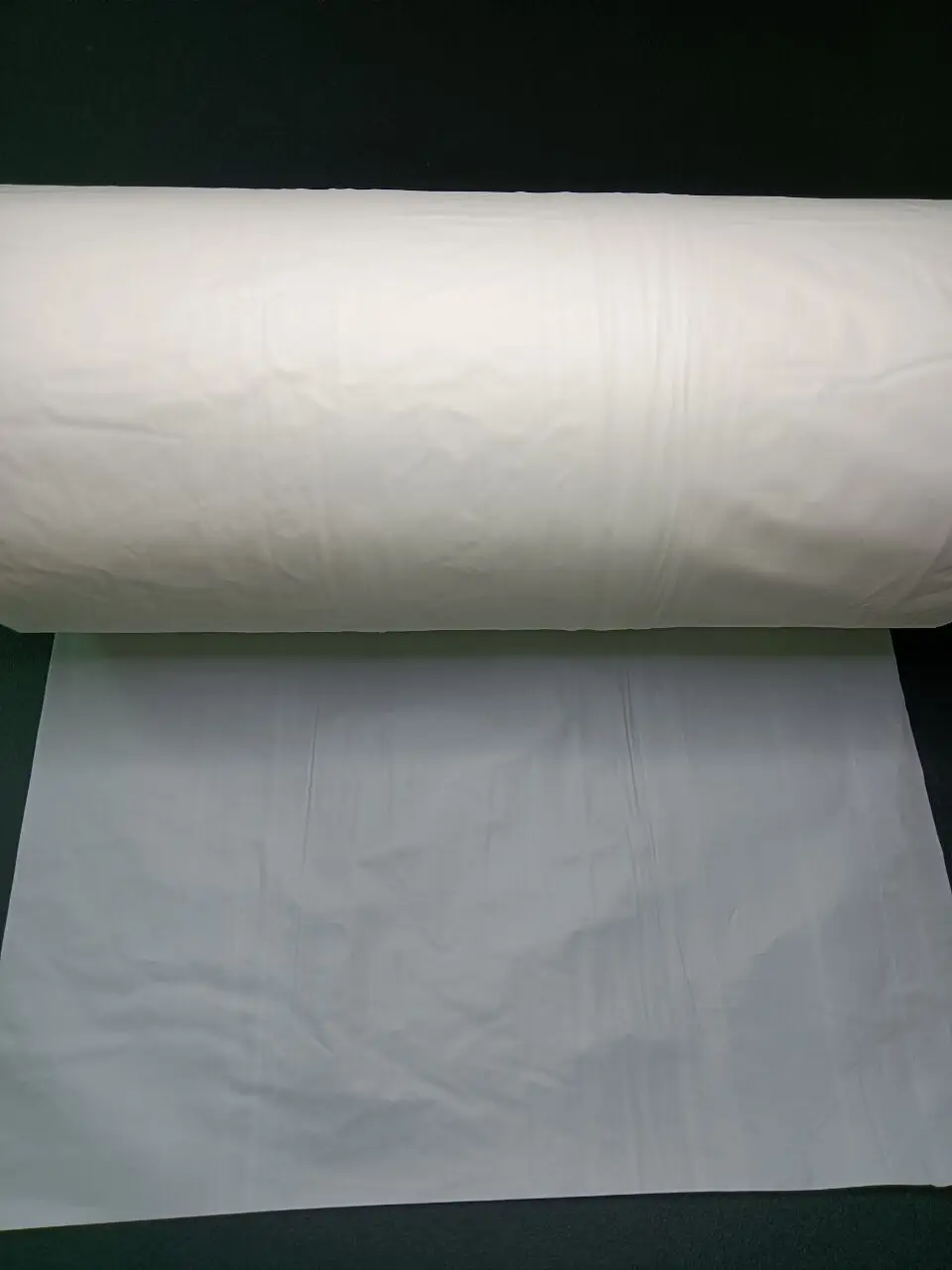 Wholesale biological Eco-Friendly PLA reducing packaging bag for widely use, 10 inch biodegradable bag