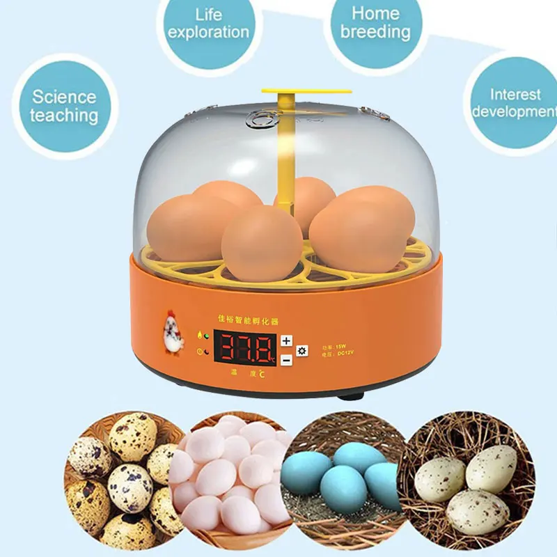 Wholesale price Home use High quality popular 7 incubator small chickens hatch machine for chicken eggs