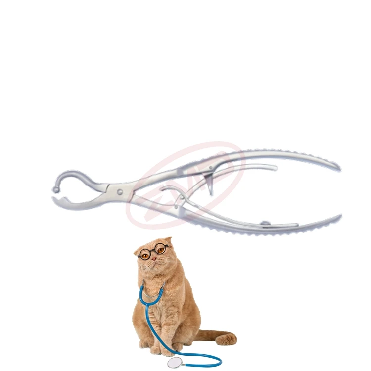 ZMD Orthopedic Reduction Forceps Self-Locking Fixed Pliers Serrated Jaws AO Plate Holding Instrument Bone Surgical Operations