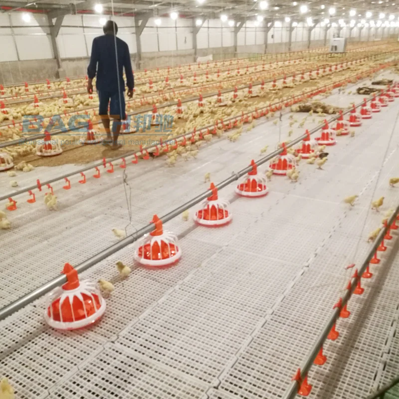 New model Automatic broiler Floor raising Equipment Automatic poultry feeding system Chicken Breeding Pan Feeder
