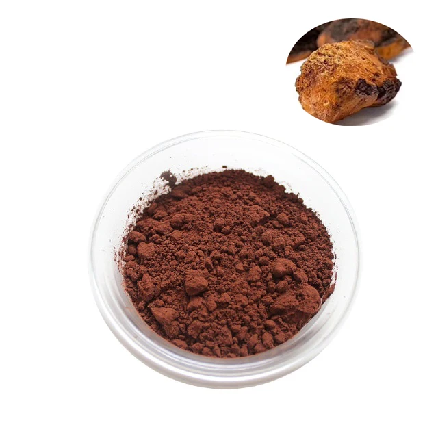 
Factory supplies Mushrooms Wild Chaga Extract Organic Chaga Mushrroom powder 