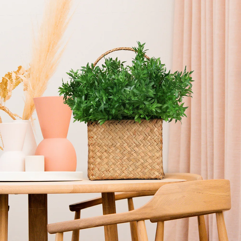 Plastic Scene Green Decorative Plants Multiple Styles Coral Pitaya Artificial Decoration Grass