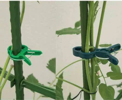 Portable Tomato cage small plastic Plant hold Support Clips for Gardening Plant