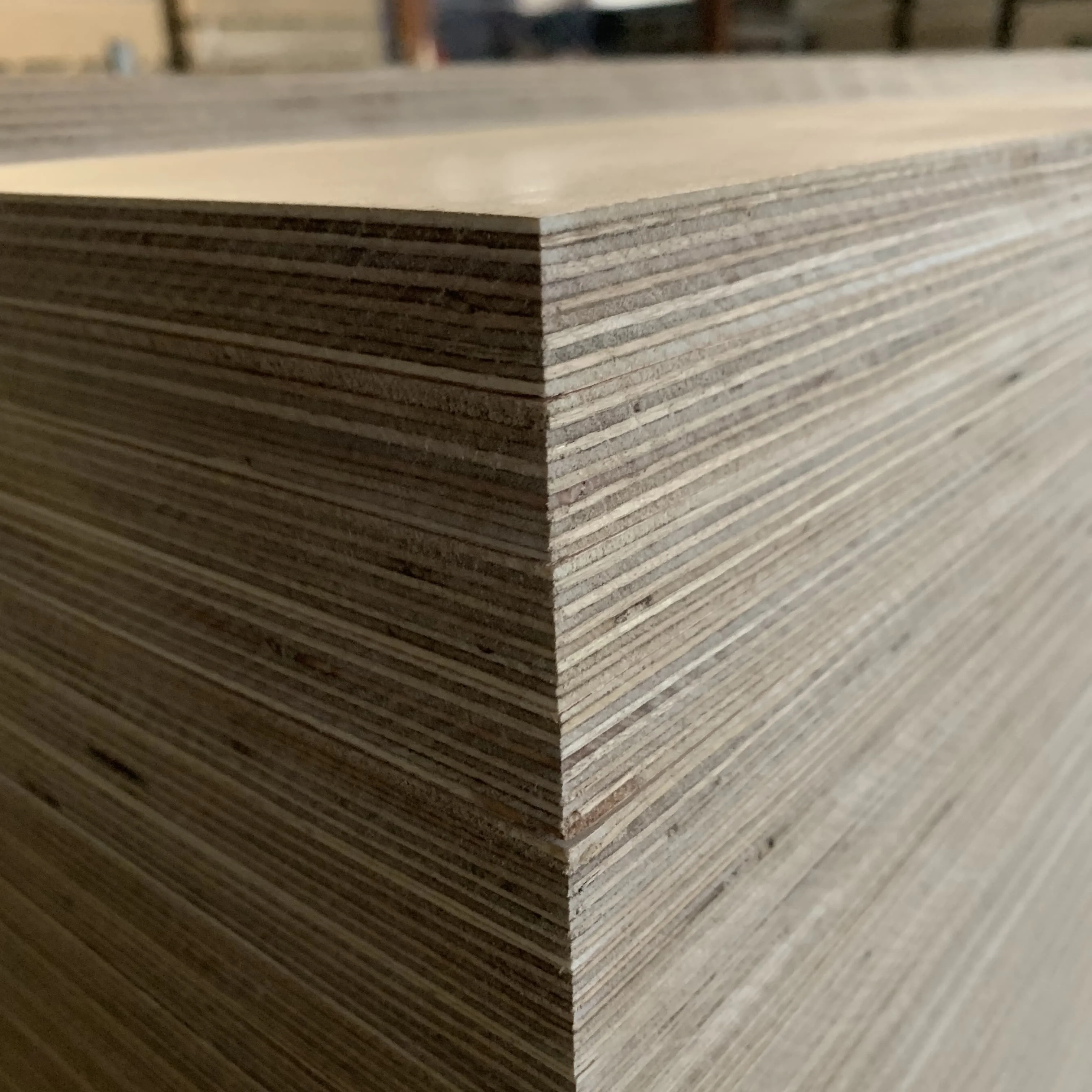 100% Full Birch Plywood Sheet 4x8 12mm WBP Marine Plywood Sheet For Furniture Decor