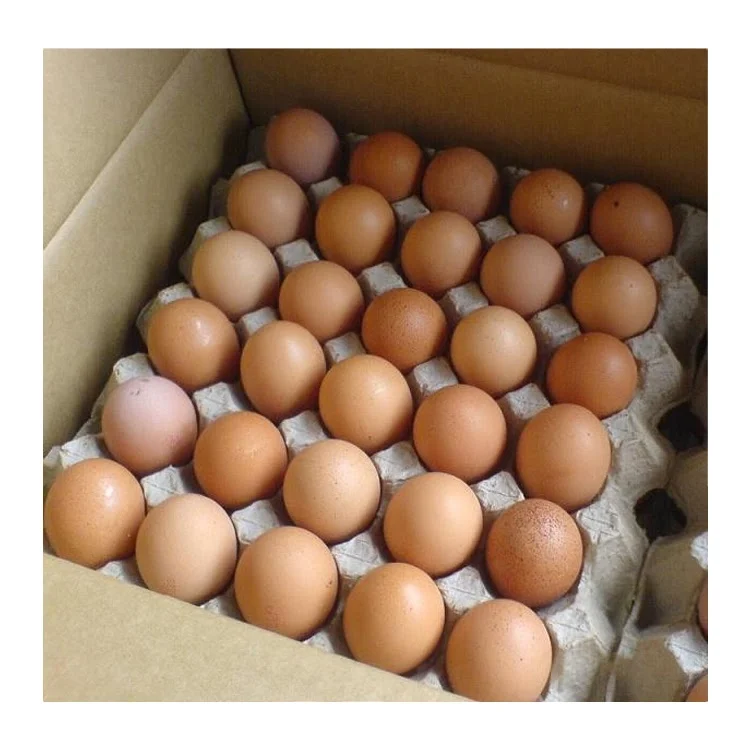 Organic Fresh Chicken Table Eggs & Fertilized Hatching Eggs USA origin for human consumption/Fresh Chicken Table Eggs Brown