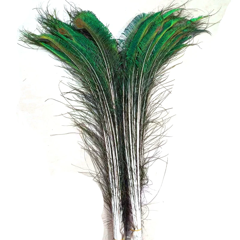 Carnival crafting made natural peacock swords feathers peacock quill feathers for carnival season in UK