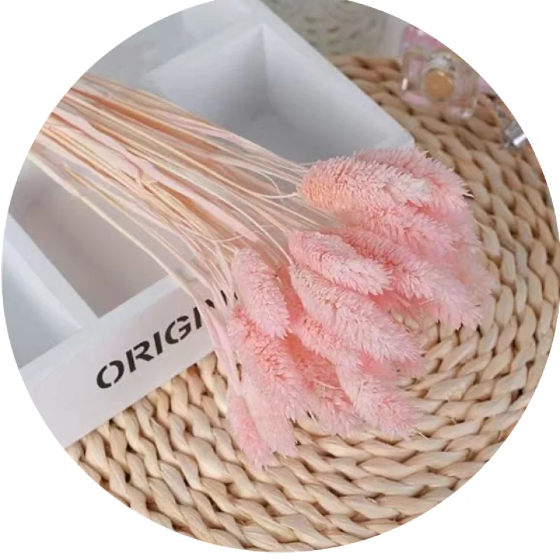 Dried flowers of Dry flower which are directly used by the manufacturer for preservation