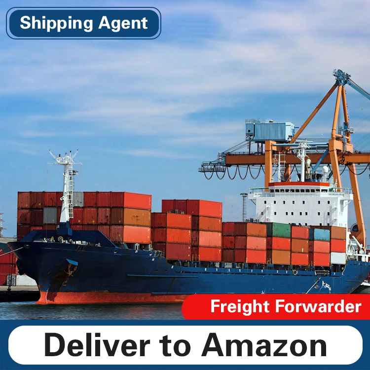 Provide professional customs clearance and tax payment services and sea transportation services to the United Arab Emirates