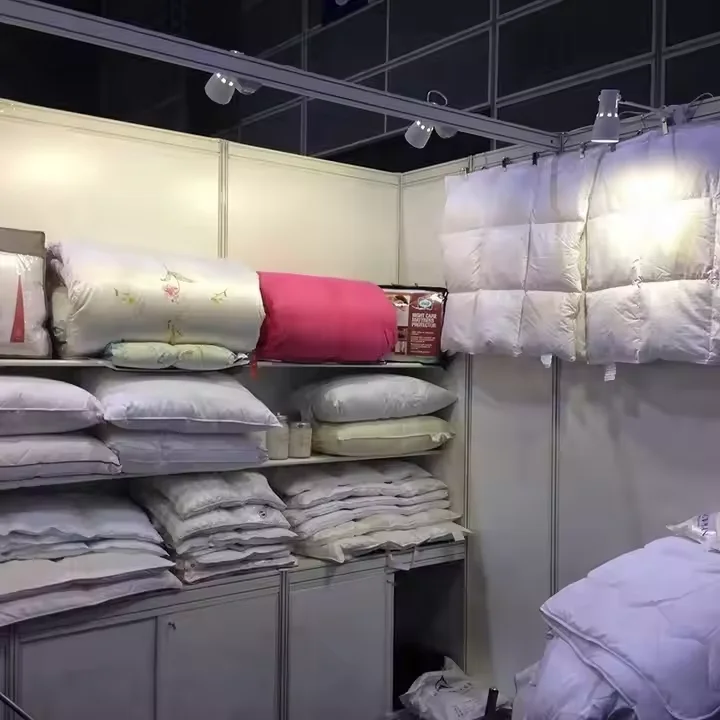 Washable Luxurious Silk Pillow Case Soft Breathable Silk Pillow Case 100% Silk Material Feather Down Throw Pillow