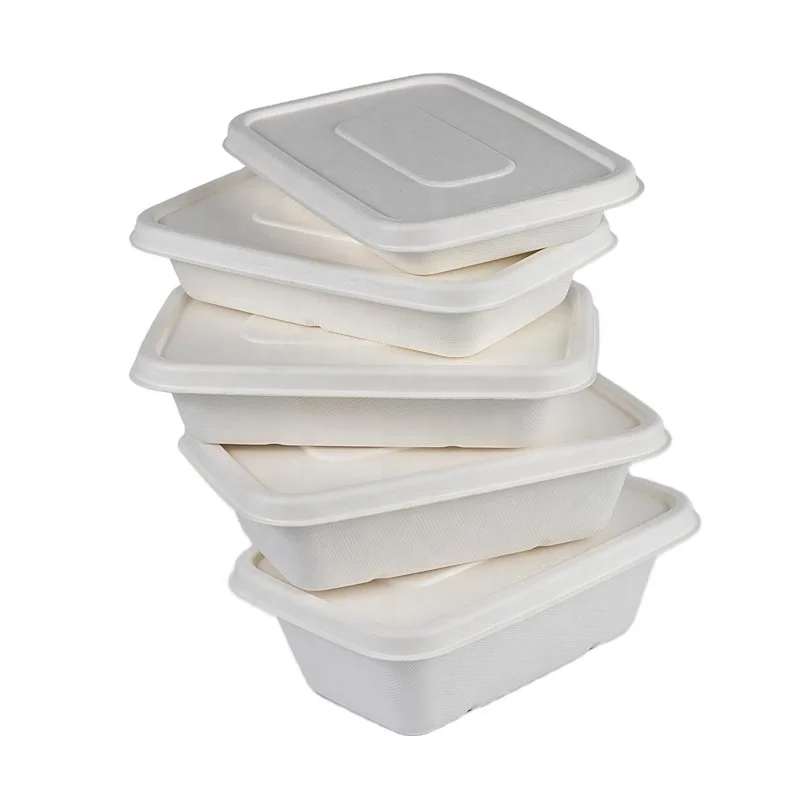 Food Packaging Pulp Compostable Mircowavable Disposable Box With Lid
