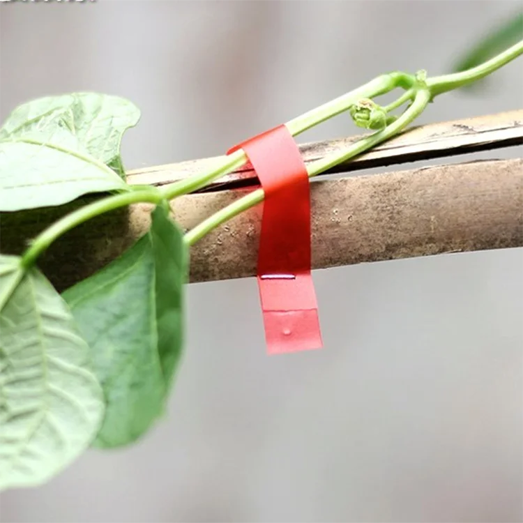parafilm tape Clear Floristry Film Parafilm Garden Grafting Tape for Garden Tree Seedling