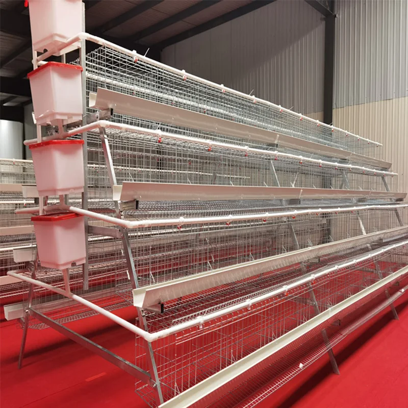 Automatic Poultry Cage Farming Equipment Galvanized A Type Chicken Cages Layer Poultry