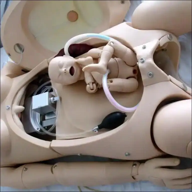 Delivery model maternal and infant first aid Training Model of Emergency Nursing for Pregnant Women Intrapartum delivery process