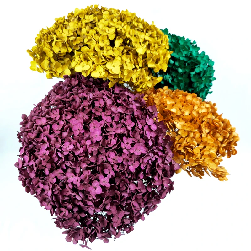 Anna Hydrangeas Wedding Floral Home Decor Large Size Preserved Flowers Real Touch Autumn Colors Eternal Hortensia Hydrangea