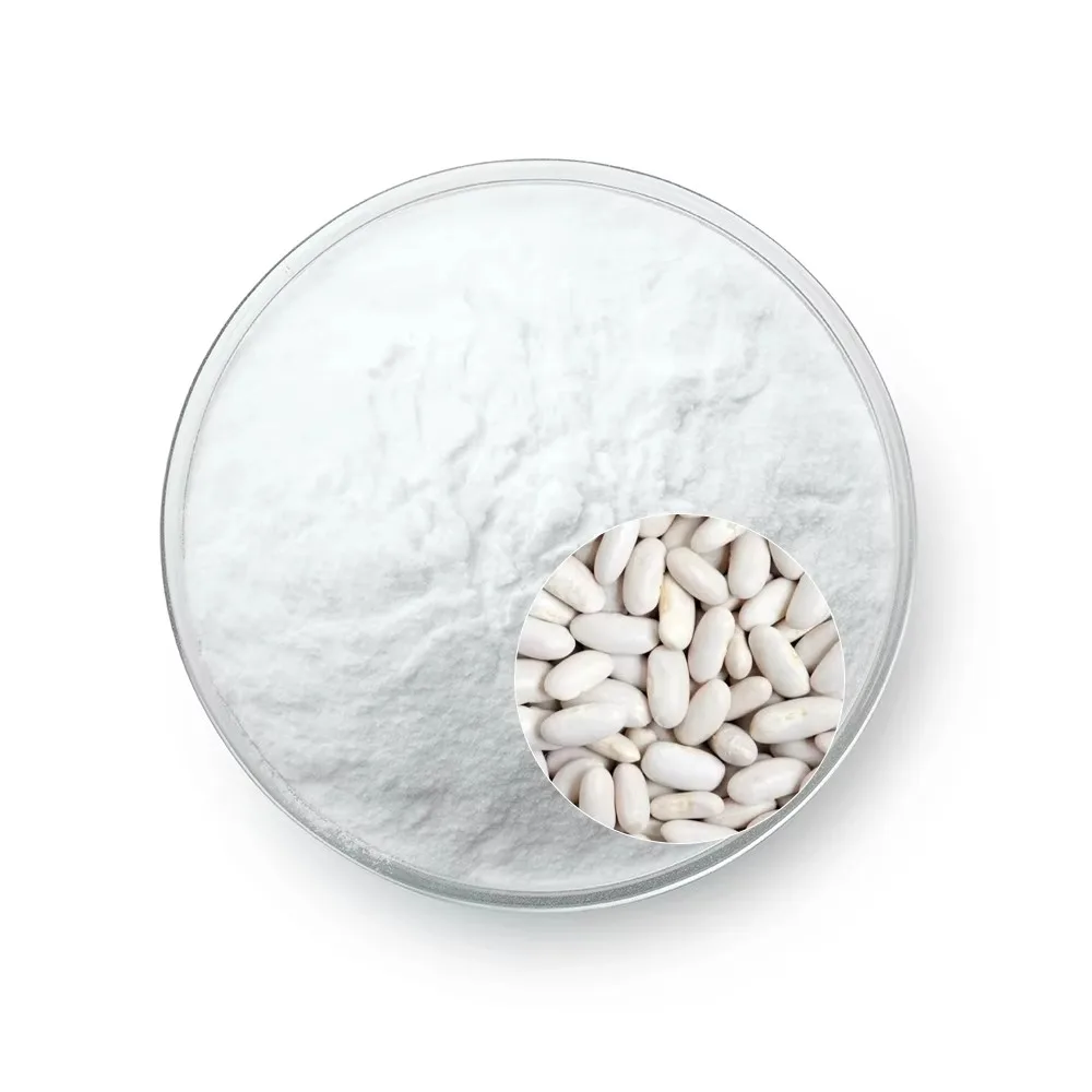 Supply White Kidney Bean Extract Phaseolin Plant White Kidney Bean Extract Powder 10:1 White Kidney Bean Extract