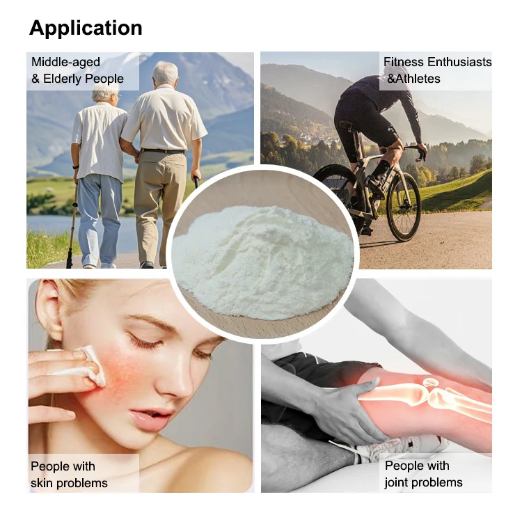 Low Molecular Weight Chondroitin Sulfate Sodium powder