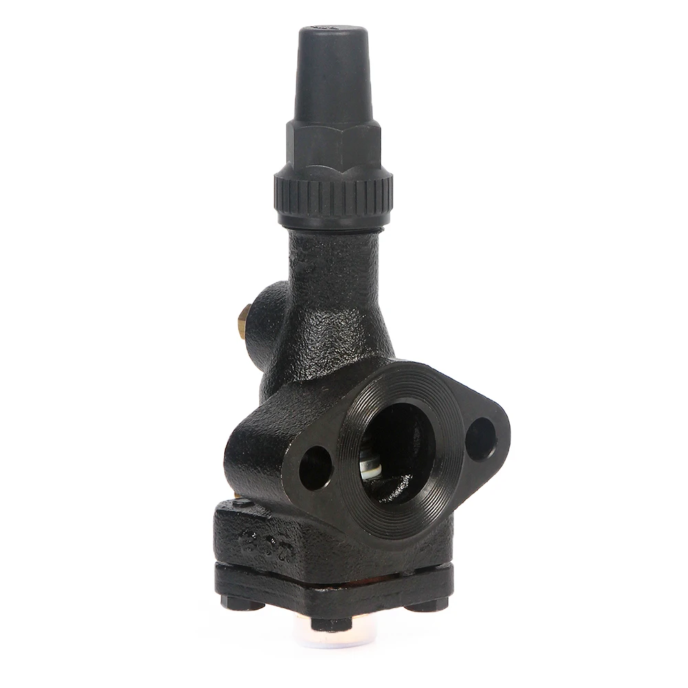 Standard Globe Valve cast Iron Valve