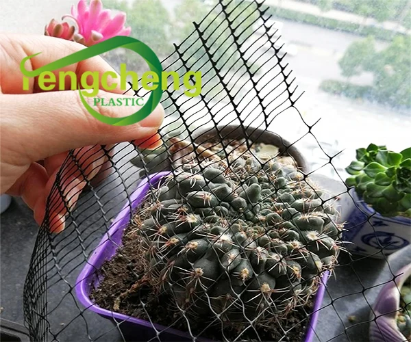 Hot Sale Bird Aviary Netting , Anti Bird Protection Net , Birds Trap Nets