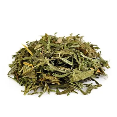 Top Quality Natural Organic Herba Pteridis multifidae powder Concentrate Phoenix-tail fern Extract