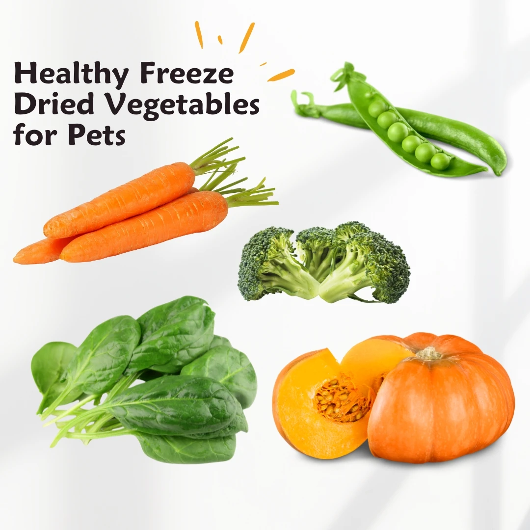 Wholesale Pet Freeze-Dried vegetables and fruits Dog treats cat snacks Freeze Dry Broccoli peas cabbage carrots spinach Pumpkin