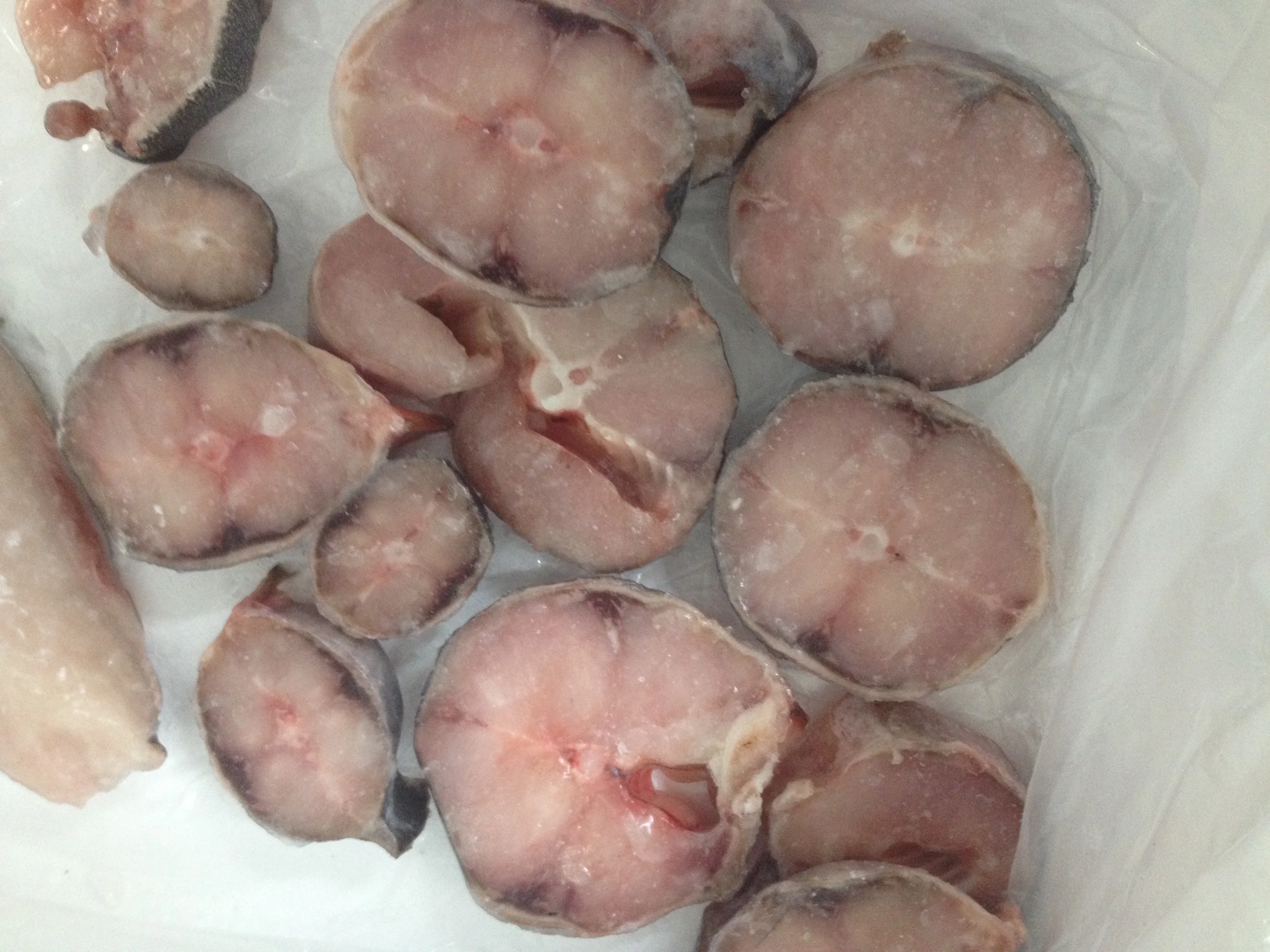 Frozen Catfish HGT / Catfish Fillets