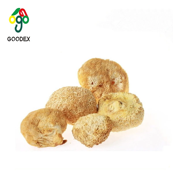 Сушеный на воздухе гриб льва и сушеный гриб травы