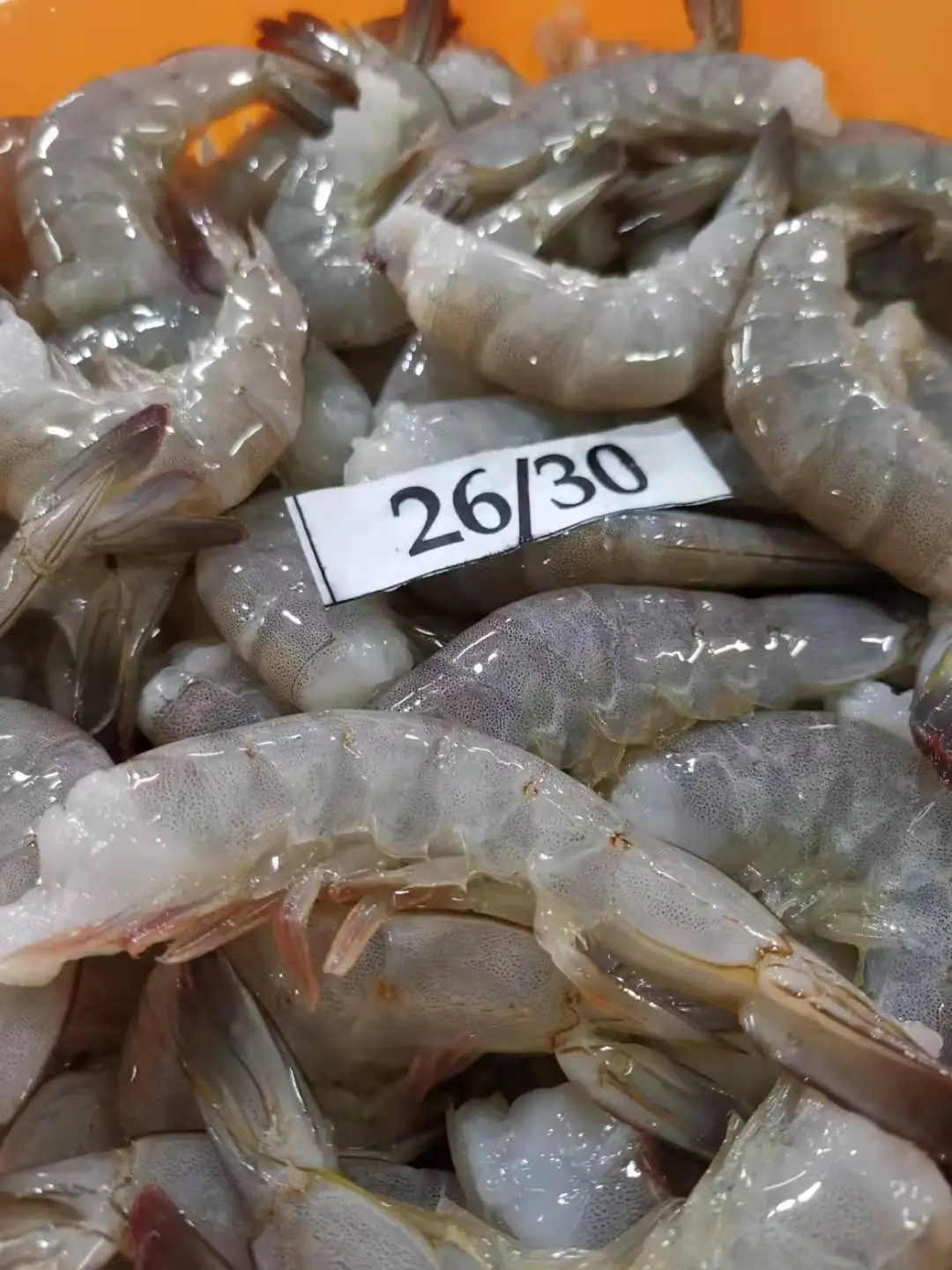 Good Sale Frozen Vannamei Shrimp High Quality