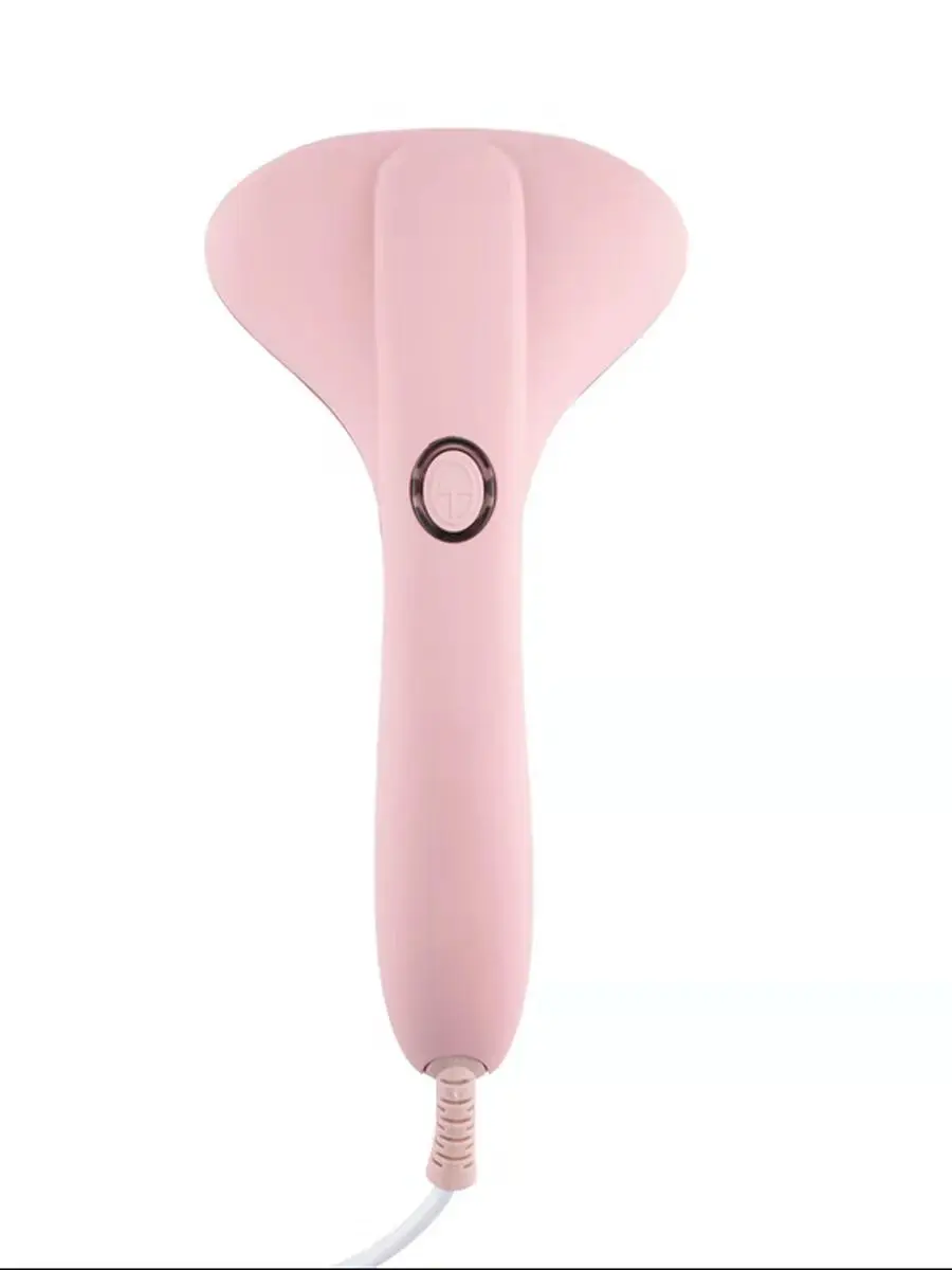 Handheld Steam iron steam brush portable steam iron with VDE plug-Stock selling