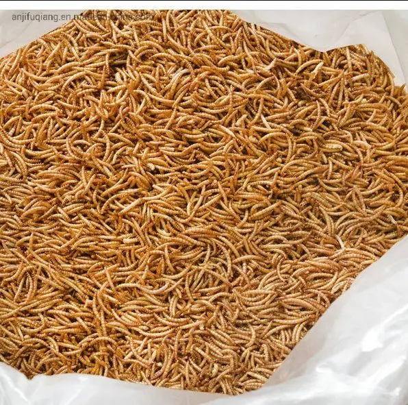 Wholesale Meal Worms Dried Poultry Feed Dried Mealworms