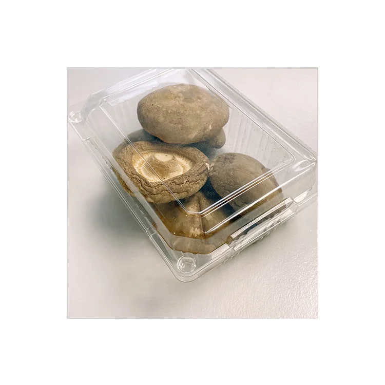 Good Taste Dryer Mushrooms Organic Shiitake Dry Mushrooms Buyers