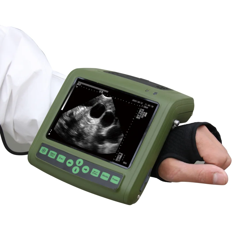 Vet ultrasound scanner for pig