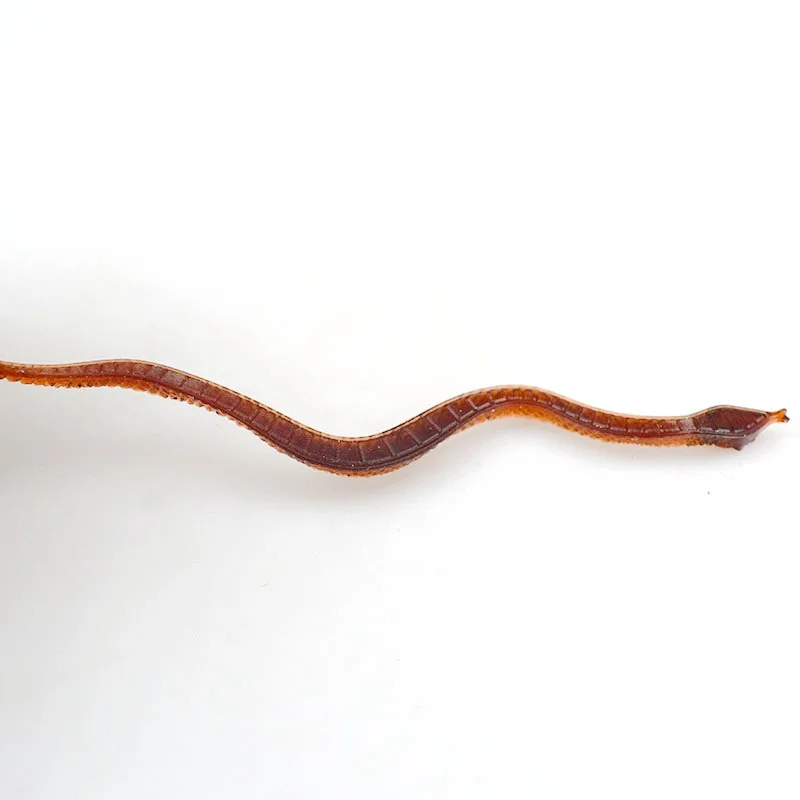 Wholesale New Brown Mini Size Snake Toy Scary  Prankand  Simulation Snake