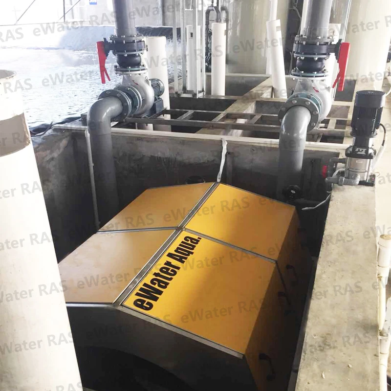 Indoor aquaculture RAS system fish farming equipment for sale