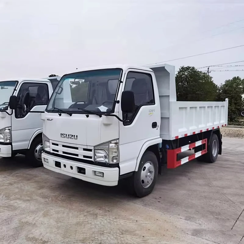 Isuzu 5-тонный дизельный 4л грузовой фургон мини-грузовик 6 колесный автомобиль 4x2/Euro2 4x4 ручной От 1 до 10 лет 150-250 л.с. легкий грузовик левый евро 2 б/у