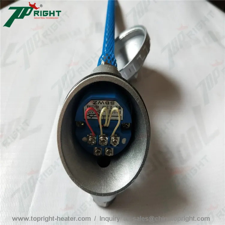 pt100 12x200mm probe  sensor