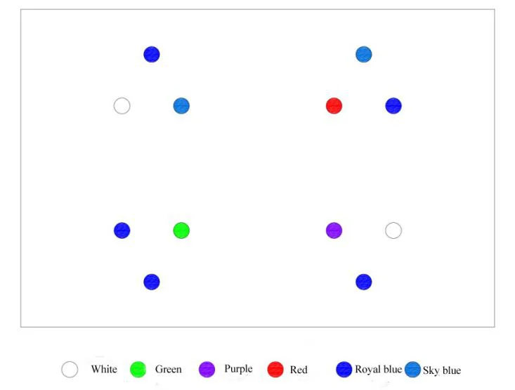 Raybow 52W LED Reef Light Marine Coral SPS LPS WiFi Control Sunrise Sunset Full Spectrum aquarium lights