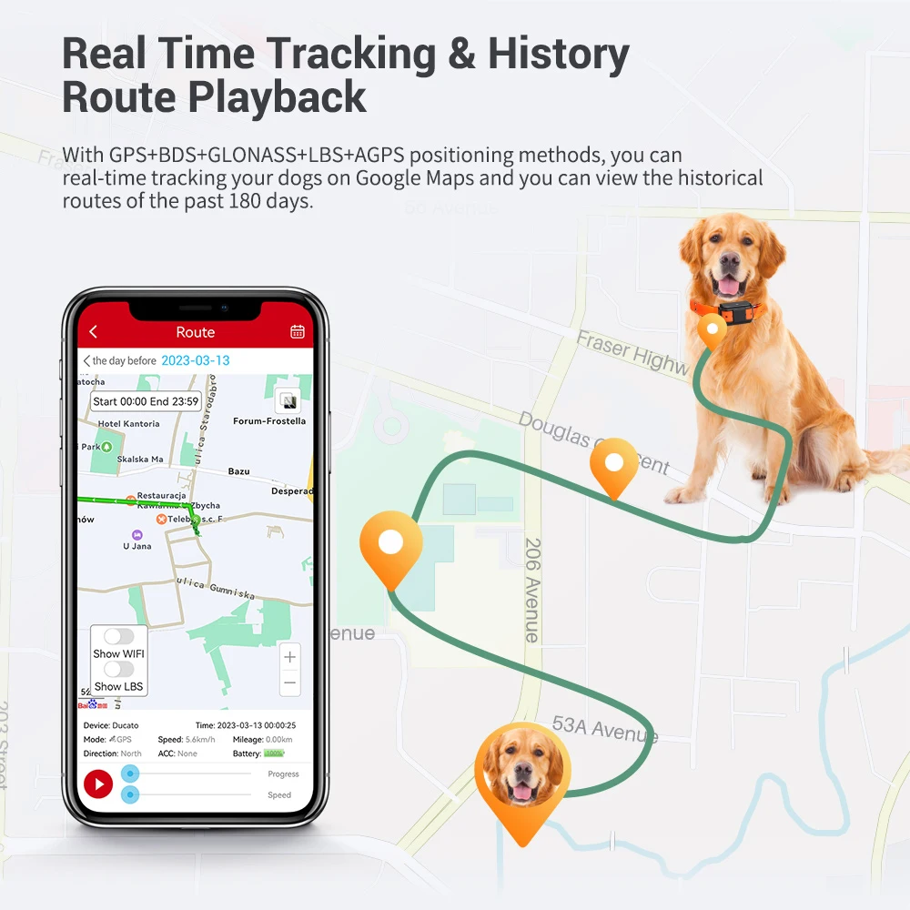 Micodus New MP50G Hunting Dog Cattle Horse Motion Monitoring Real Time 4G Tracking Device Animal Smart Gps Tracker Locator Pet