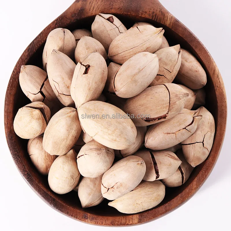 In 2022, Pecans Nut with Full Fruit Flavor and Rich Milk Flavor are Sold Wholesale at a Low Price
