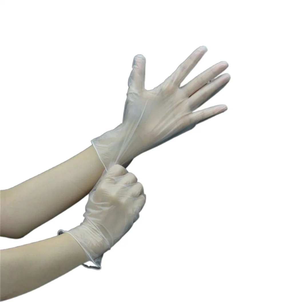 High Cleanliness Softness Disposable Sky Blue Pvc Powder Free Non Sterile Vinyl Gloves